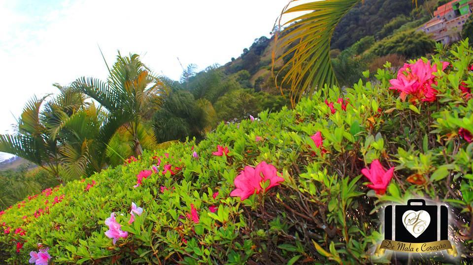 Pousada Recanto Dos Manacas Socorro  Exterior photo